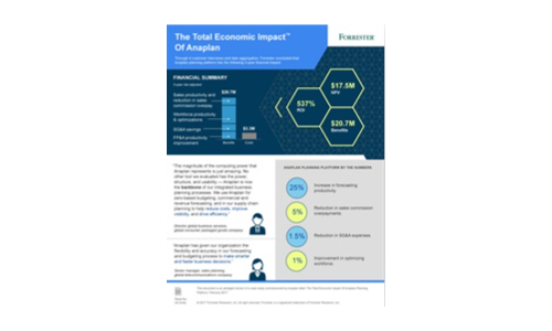 The Total Economic Impact ™ di Anaplan